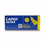 Lapox Ultra (180 GM) Crack Filler – Modified Epoxy Resin & Hardener